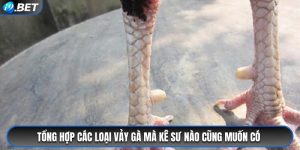 Tin tức - slot539.sbs