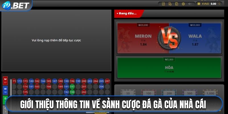Đá Gà I9bet - Sân Chơi Đổi Thưởng Kịch Tính, Hấp Dẫn 2026